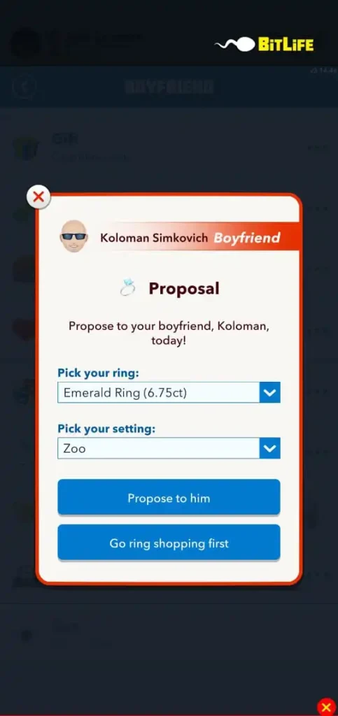 Marriage proposal in bitlife