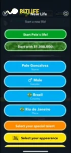 It’s Hot Wet Summer Challenge | Bitlife 3 be born in Brazil apkbitlife.com/